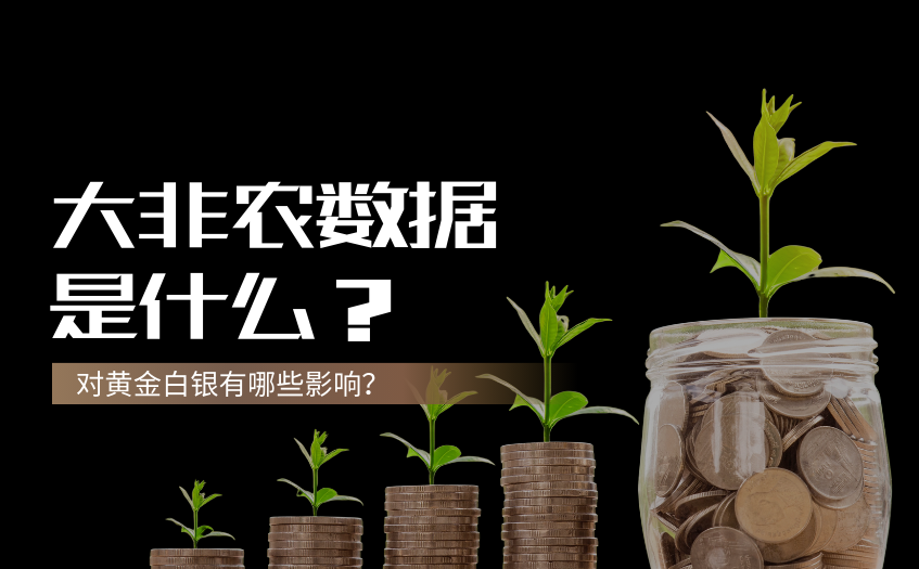 大非农是什么意思 大非农是什么意思